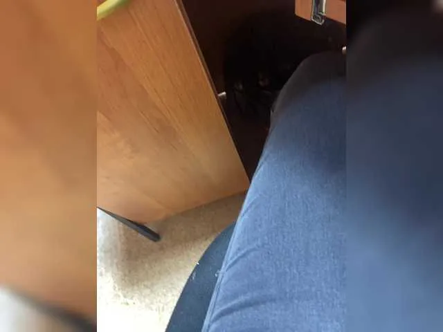 Molii-Molii35 – webcam model profile photo