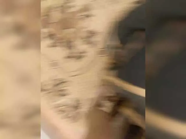 Riki178's Thumb Image