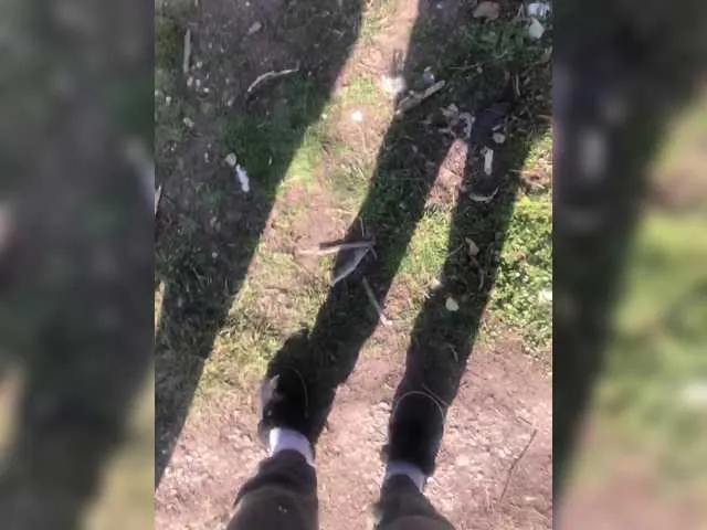 selennandbrya – webcam model profile photo